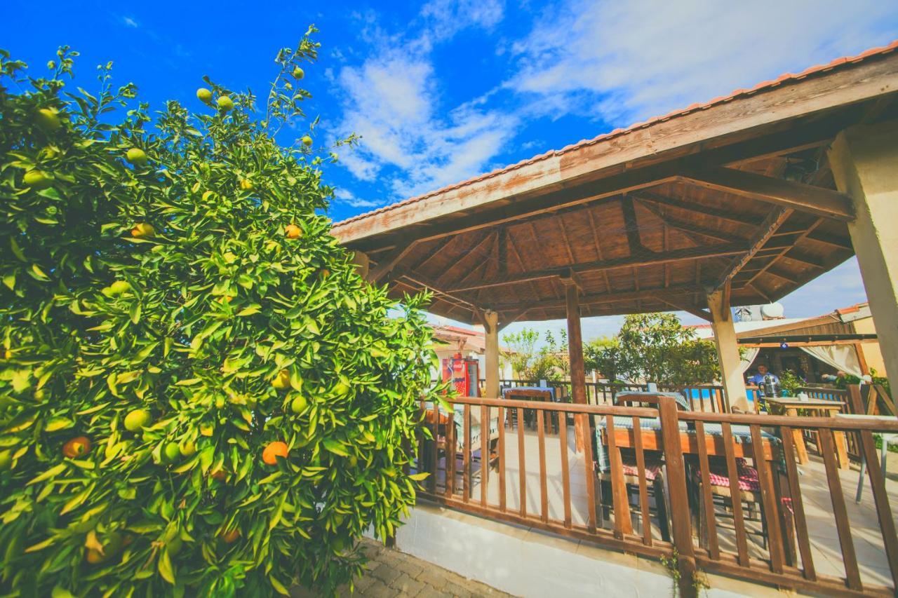 Castle Karpasia Guest House Authentic Atmosphere ! Rizokarpaso Exterior foto
